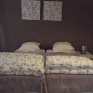 Comfort Kamer met een King Size Bed